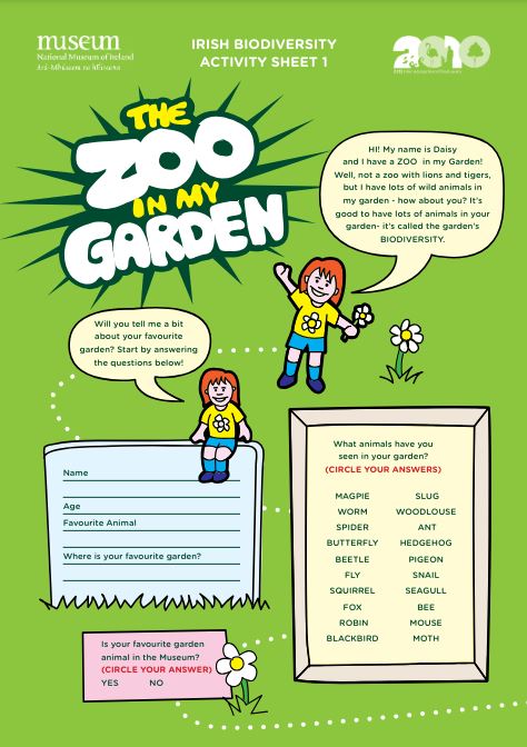 Zoo-in-my-garden.JPG