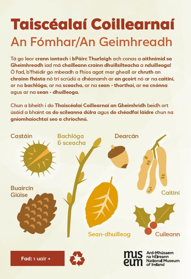 woodland-jpeg-gaeilge-web.JPG