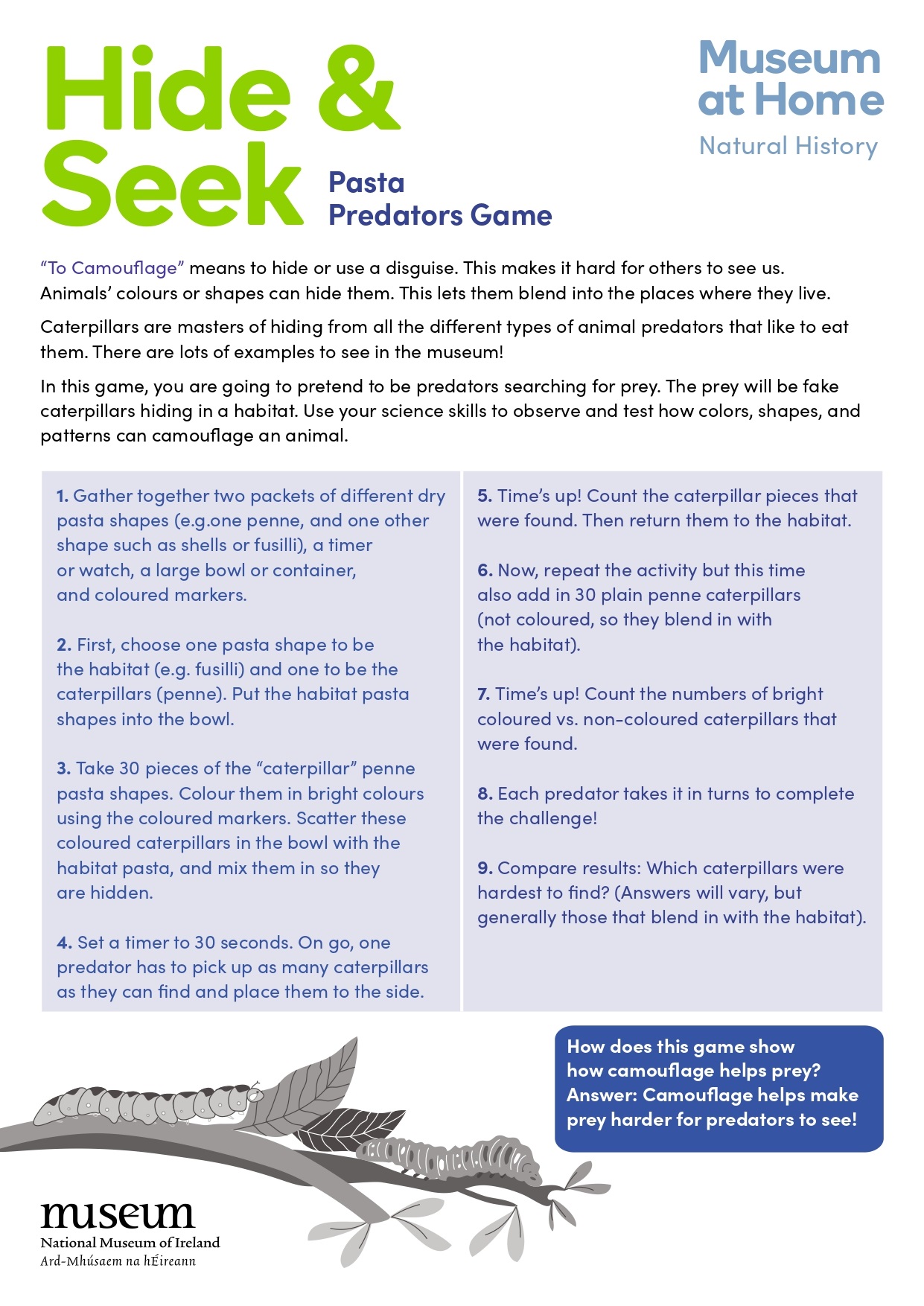 HideAndSeek_Pasta_Predators_page-0001.jpg HideAndSeek_Pasta_Predators_page-0001.jpg