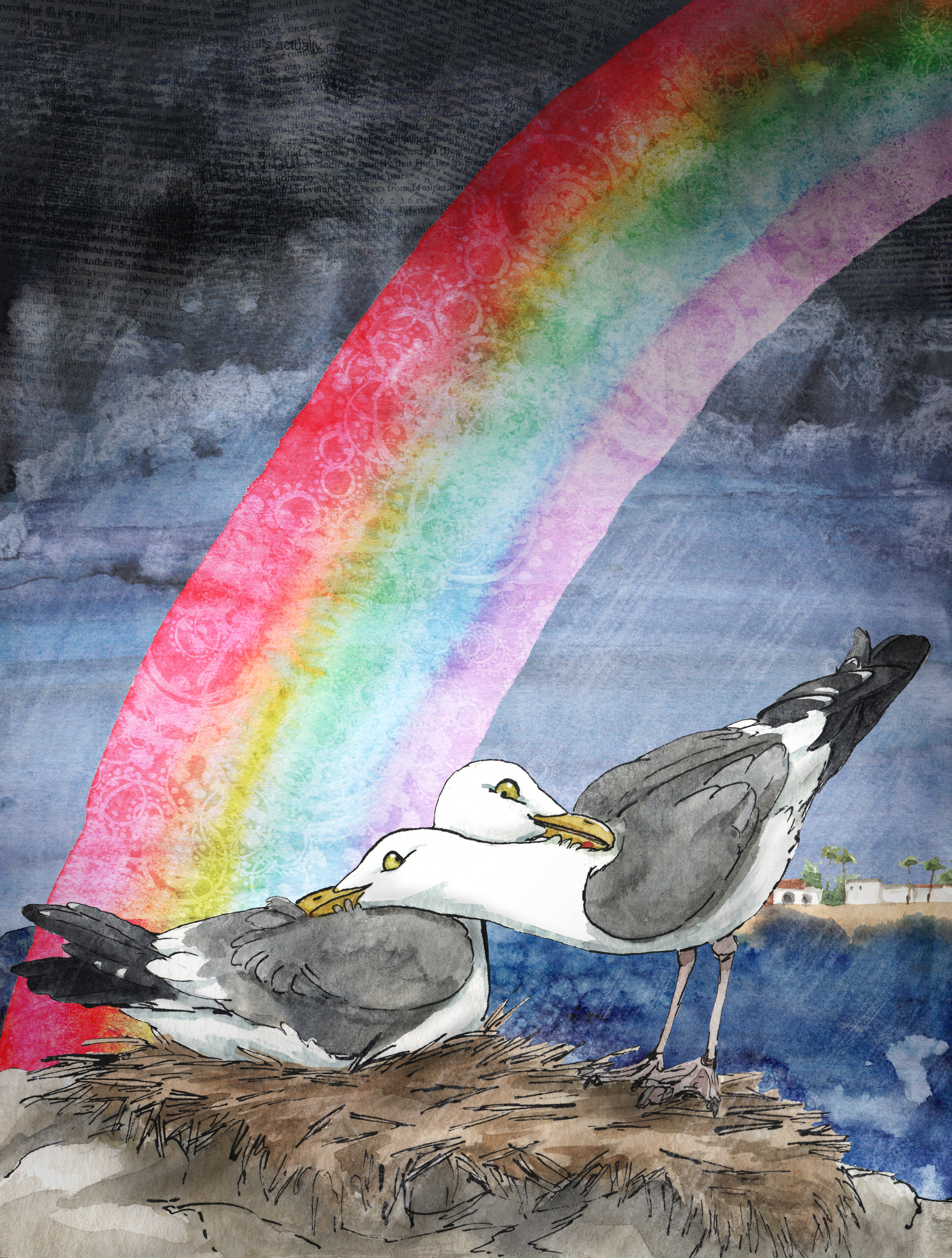 Seagulls-of-Santa-Barbara-Rosie-Dore-(1).jpg