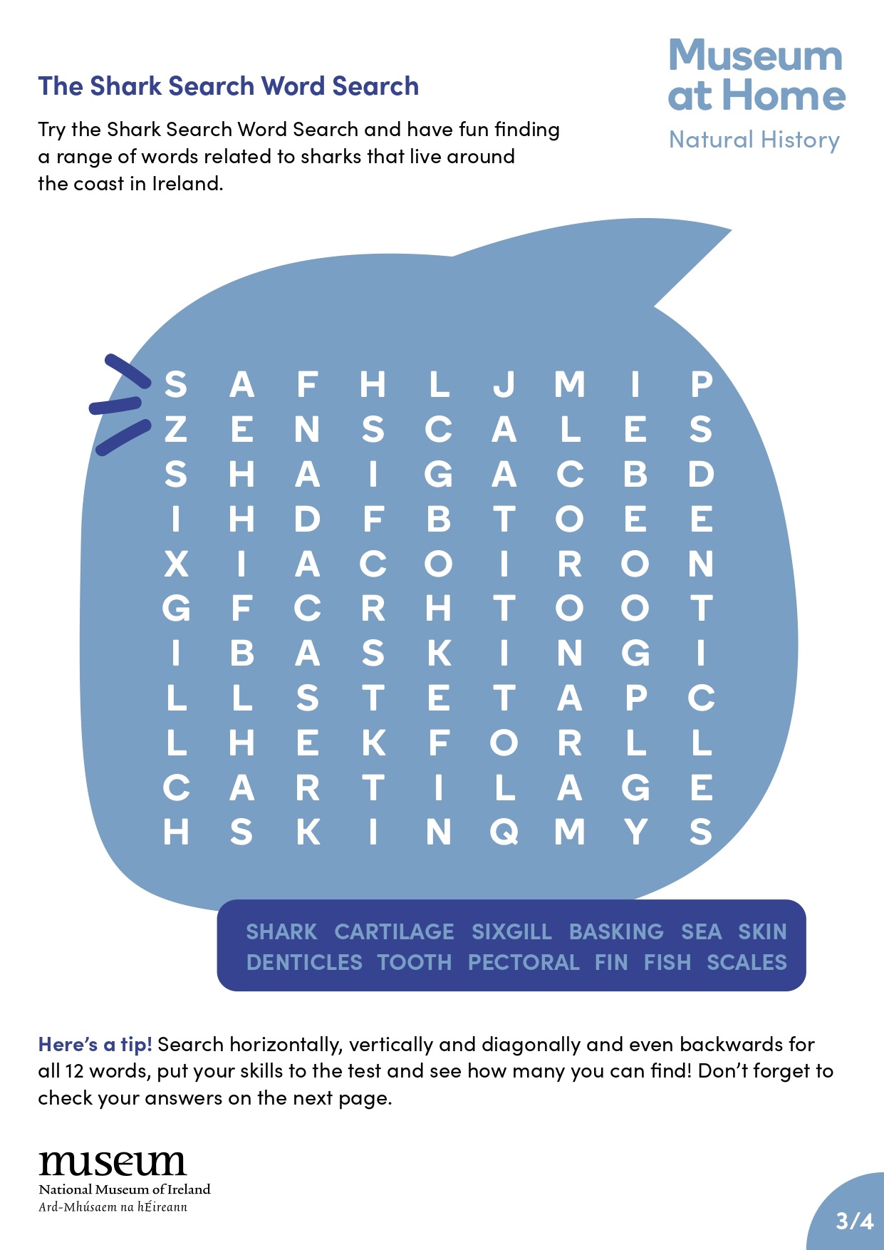 Shark-Search_page-0003.jpg Shark-Search_page-0003.jpg