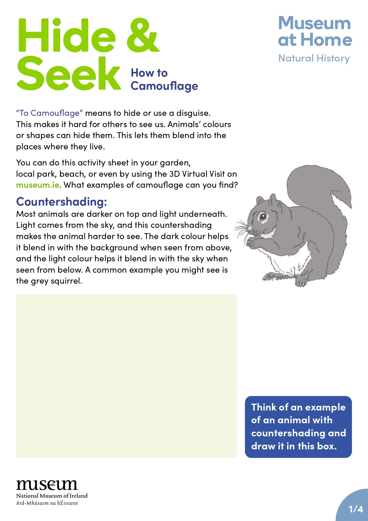 Hideandseek_What_is_camouflage_sheet_page-0001.jpg Hideandseek_What_is_camouflage_sheet_page-0001.jpg