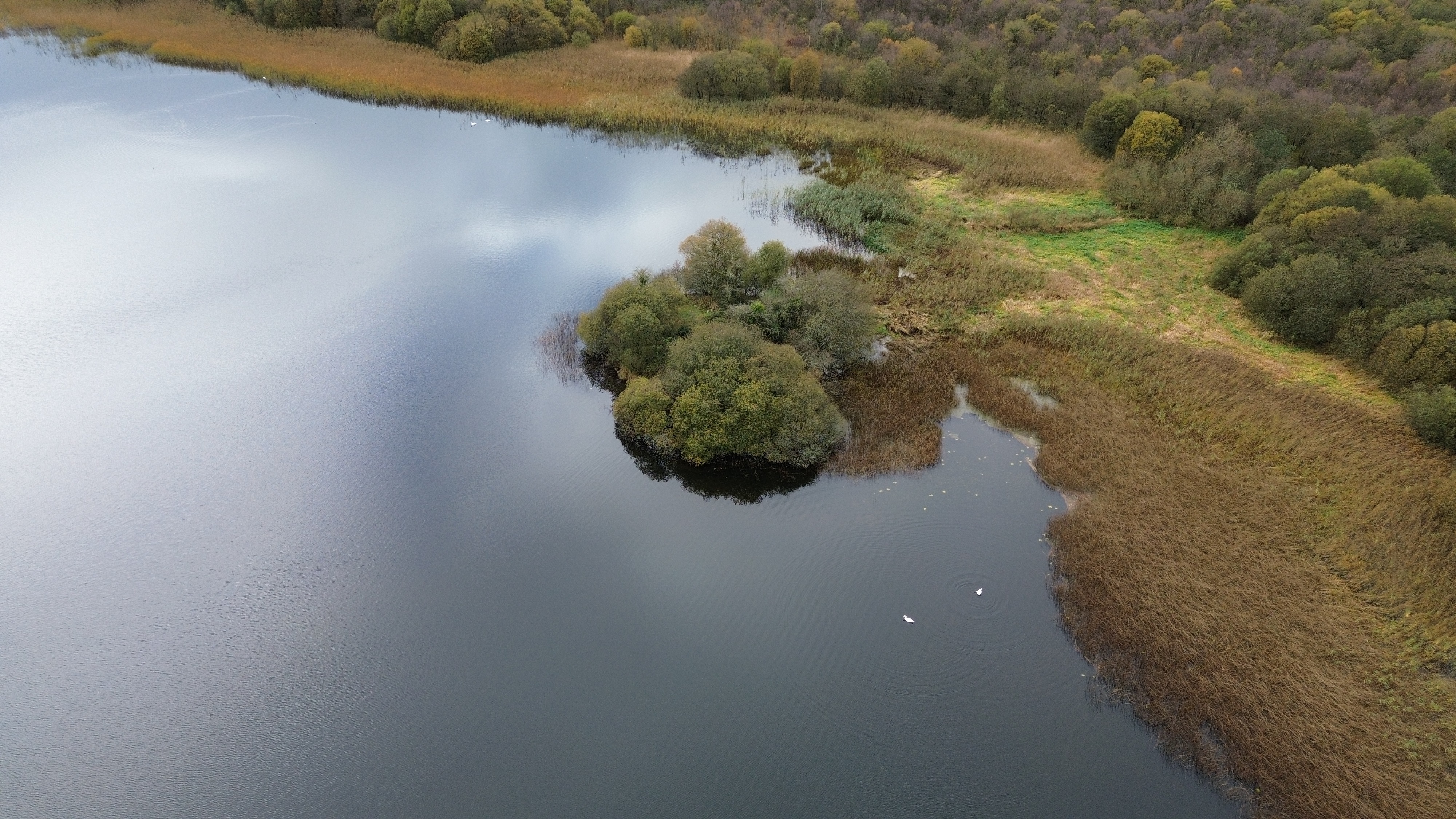 DJI_0987.jpg