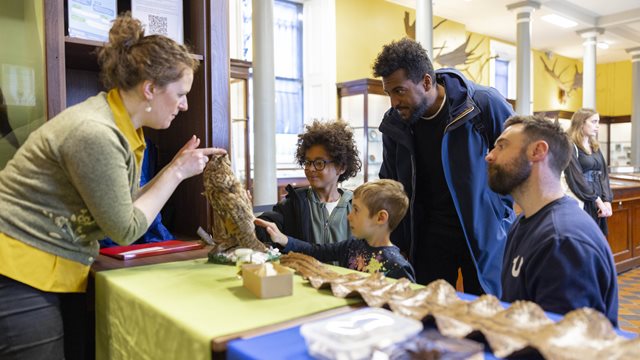 Pop Up Chats at the Wonder Cabinet | Natural History | National Museum ...