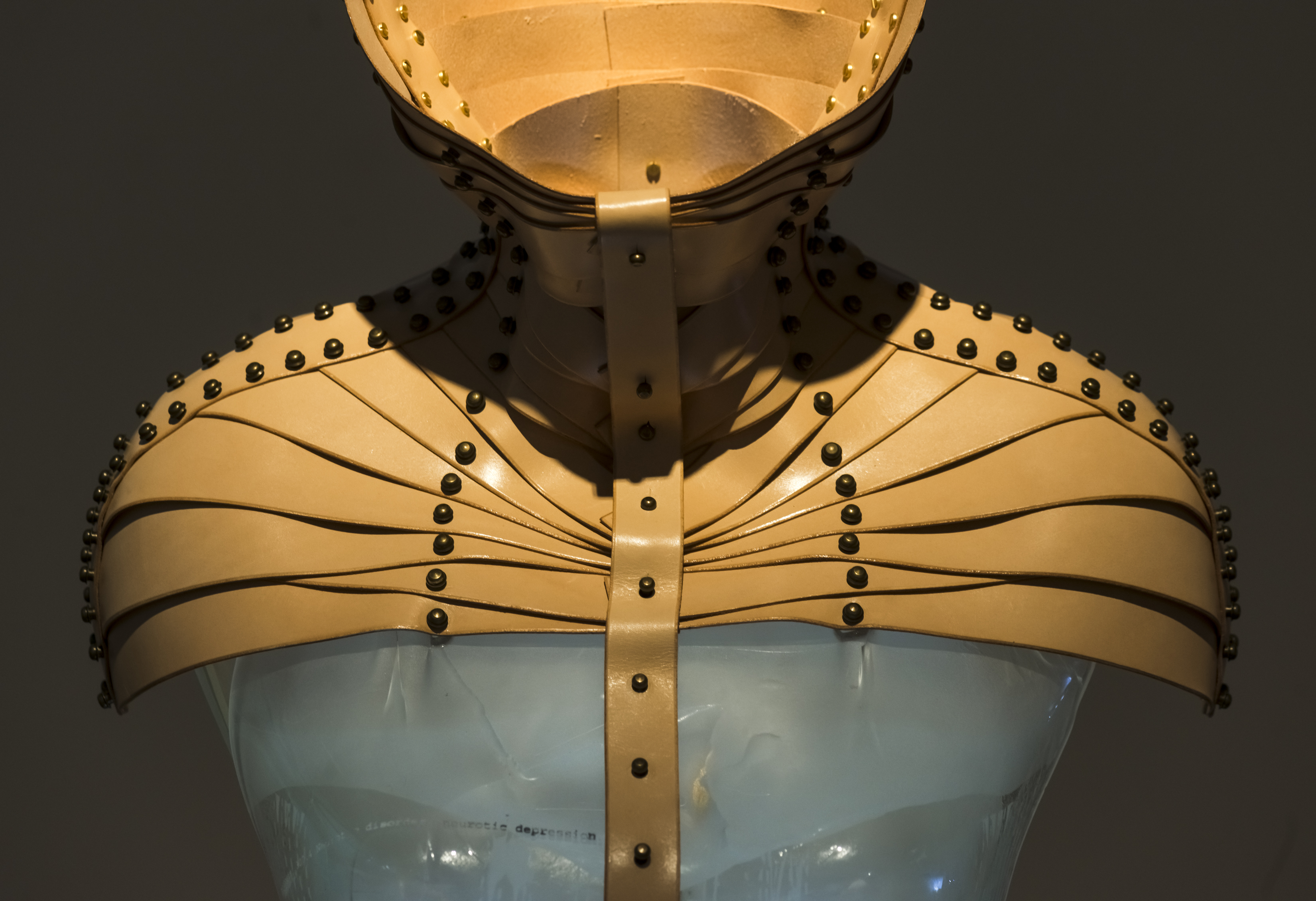 Alison Lowry’s ‘A New Skin’