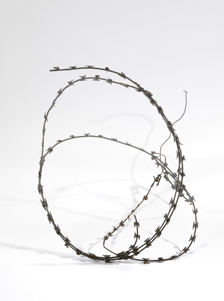 Razor Wire
